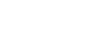 NetSuite Partner Alliance Logo